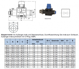 Absperrhähne mit zylindrischem Außengewinde und Steckanschluss, Standard, IQS, alle Größen, Riegler